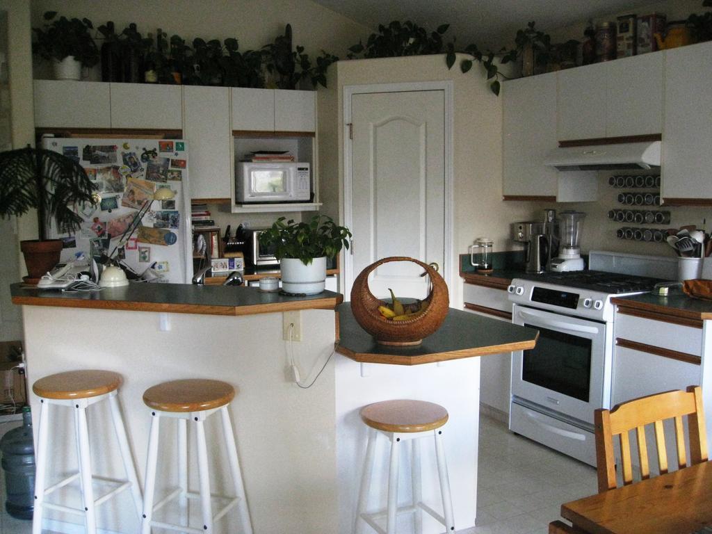 Avens Renaissance B&B Canmore Eksteriør bilde