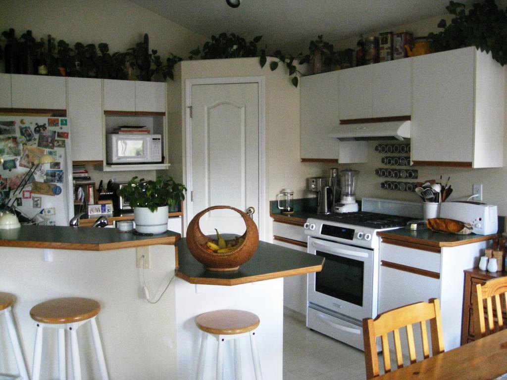 Avens Renaissance B&B Canmore Eksteriør bilde